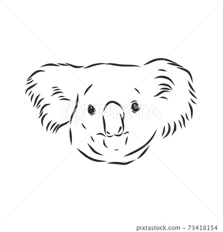 Hand drawing koala. Vector illustration, Koala vector sketch illustration Hand drawing koala. Vector illustration, Koala vector sketch illustration 73418154