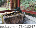 Hieizan Enryakuji Temple Shakado Hand Wash House 73418247