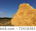 Huge straw piles of hay roll bales on among harvested area. 73418383