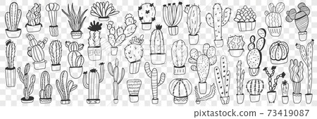 Cactus in pots doodle set 73419087