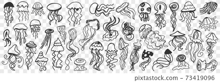 Various swimming jellyfish doodle set 73419096