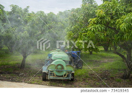 Tractor spraying pesticide and insecticide Tractor spraying pesticide and insecticide 73419345
