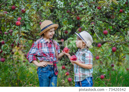 Portrait of a brother and sister in the garden with red apples. Portrait of a brother and sister in the garden with red apples. 73420342