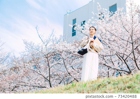 Cherry blossoms and university students 73420488