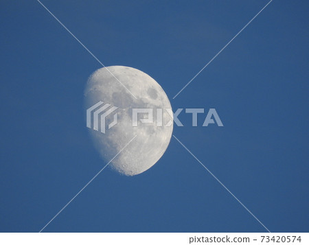 Moon  73420574