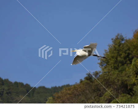 Flight of Daisuke 73421875