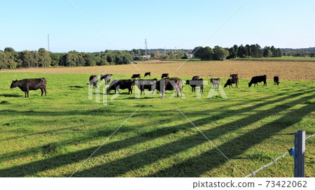 Japanese beef 73422062