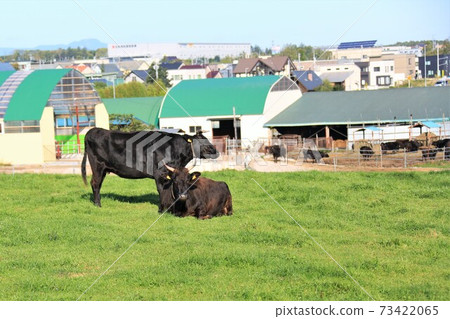 Japanese beef 73422065