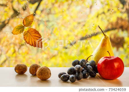 Walnutsx, pears, grapes, apple and autumn yellow leaf on window glass with water drops Walnutsx, pears, grapes, apple and autumn yellow leaf on window glass with water drops 73424039