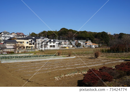 1月75日國分寺懸崖線,西本町2丁目景 1月75日國分寺懸崖線,西本町2丁目景 73424774