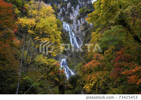 Falls of Hagoromo in autumn 73425453