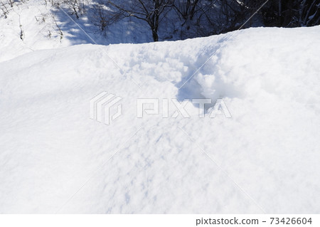Texture of snow [Tainai City, Niigata Prefecture] 73426604