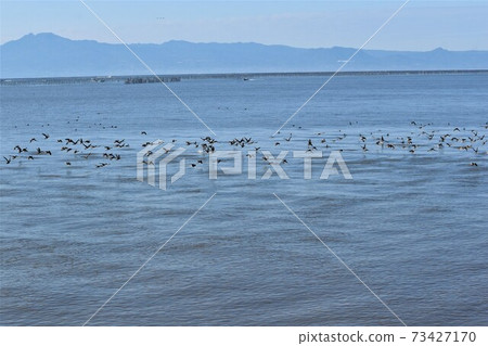 Ariake Sea at high tide Ariake Sea at high tide 73427170