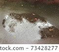 Puddle, rain and dead leaves 73428277
