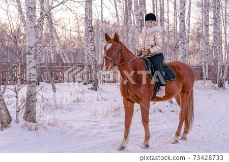 Outdoor portrait of beautiful blonde woman sitting on horse in winter forest. Copy space. 73428733