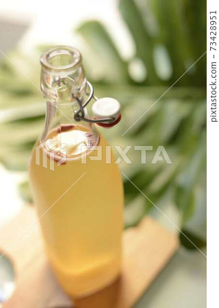Kombucha 73428951