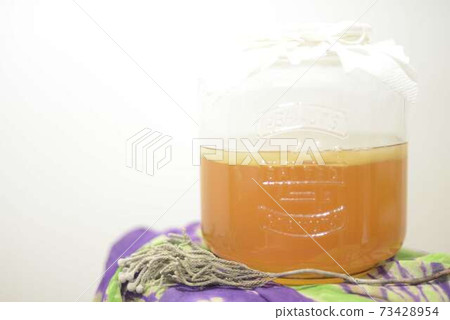 Kombucha 73428954