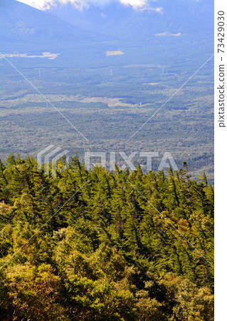 Object of worship and source of art-superb view of Mt. Fuji 5th station 73429030