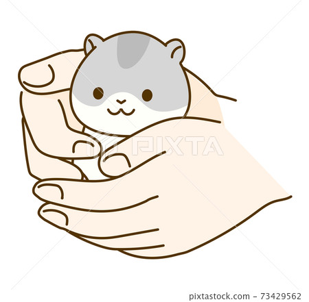 Hamster illustration: How to hold a hamster 73429562