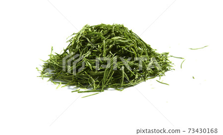 acacia pennata or climbing wattle vegetab on white 73430168