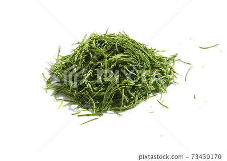 acacia pennata or climbing wattle vegetab on white 73430170