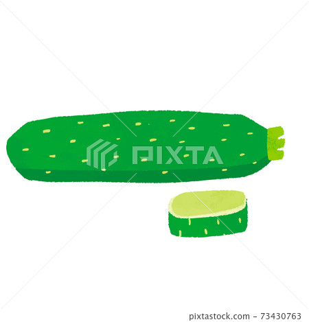 西葫蘆插圖向量 西葫蘆插圖向量 73430763