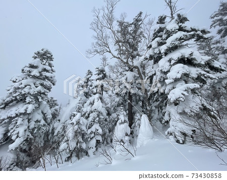 Grandeco Ski Resort slopes in Fukushima Prefecture Grandeco Ski Resort slopes in Fukushima Prefecture 73430858