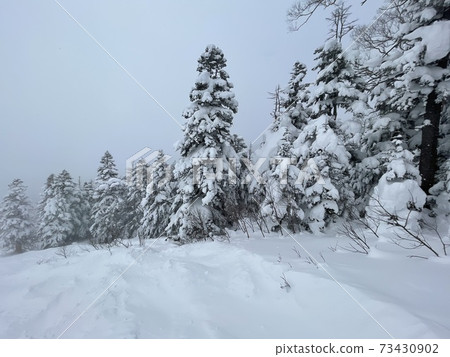 Grandeco Ski Resort slopes in Fukushima Prefecture 73430902