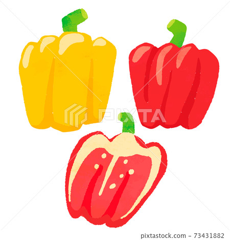 Paprika illustration bell pepper illustration vector Paprika illustration bell pepper illustration vector 73431882