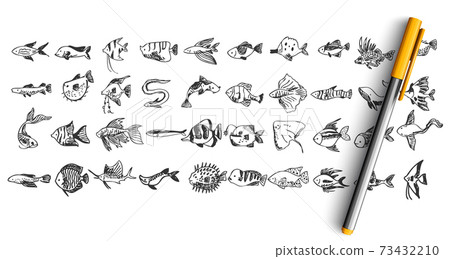 Fish doodle set Fish doodle set 73432210
