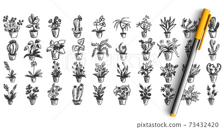 Houseplants doodle set 73432420