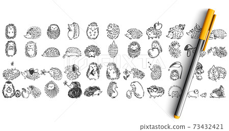 Hedgehogs doolde set 73432421