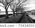 Winter grove (Fuyukodachi) 73434050