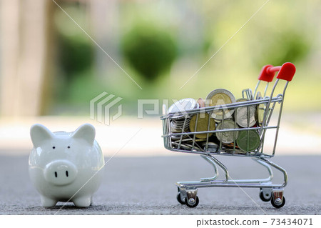 Piggy bank and shopping cart online full of money, Saving money Concept. Red shopping cart or trolley with coin. (Thai money). Piggy bank and shopping cart online full of money, Saving money Concept. Red shopping cart or trolley with coin. (Thai money). 73434071
