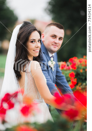 Kissing wedding couple in nature close-up portrait 73434114