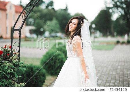 Beauty portrait of bride wearing fashion wedding dress with feathers with luxury delight make-up and hairstyle Beauty portrait of bride wearing fashion wedding dress with feathers with luxury delight make-up and hairstyle 73434129