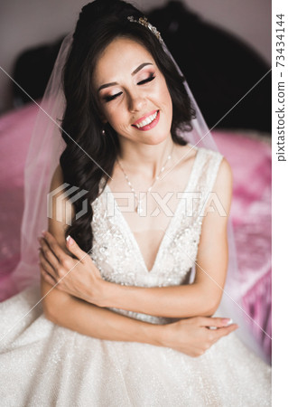 Beautiful luxury bride in elegant white dress Beautiful luxury bride in elegant white dress 73434144