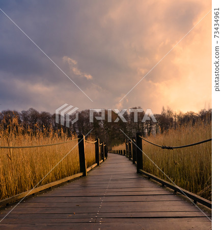 A boardwalk in a marshland full of reeds in golden color with an amazing sky in the background. Picture from Lund, Sweden A boardwalk in a marshland full of reeds in golden color with an amazing sky in the background. Picture from Lund, Sweden 73434961