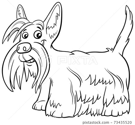 Scottish Terrier purebred dog coloring book page 73435520