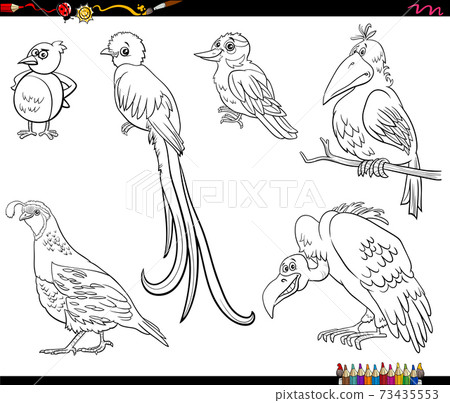 Download Cartoon Birds Animal Characters Set Coloring Stock Illustration 73435553 Pixta