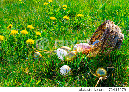 Easter eggs bunny. Golden egg with yellow spring flowers in celebration basket on green grass background. Traditional decoration in sun light. Easter eggs bunny. Golden egg with yellow spring flowers in celebration basket on green grass background. Traditional decoration in sun light. 73435679