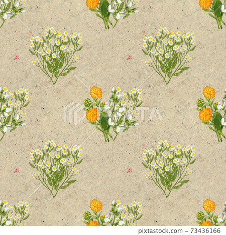 Hand drawn medicinal plant seamless pattern. Healing herbs drawing on craft paper. Hand drawn medicinal plant seamless pattern. Healing herbs drawing on craft paper. 73436166