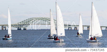 Five sailboats heading toward the Great South Bay bridge in winter Five sailboats heading toward the Great South Bay bridge in winter 73437145