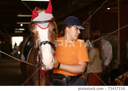 teenager girl in stable brush horse before daily riding outside. 73437150