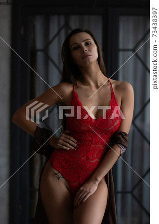 Gorgeous young female model wearing various stylish underwear during Christmas holidays at home Gorgeous young female model wearing various stylish underwear during Christmas holidays at home 73438397