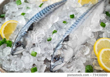 fresh mackerel on crushed ice with lemon 73438800