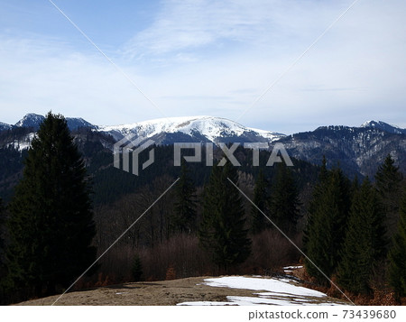 Sunny day in the mountains Sunny day in the mountains 73439680
