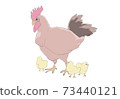 Parent and child of chickens 73440121