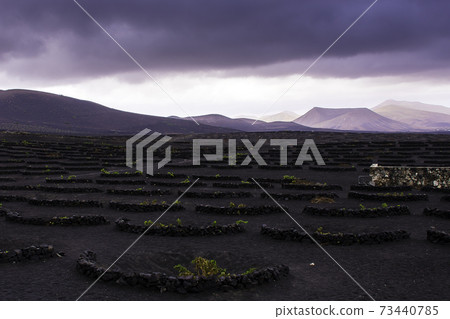 The Wine Valley of La Geria - Lanzarote, Spain The Wine Valley of La Geria - Lanzarote, Spain 73440785