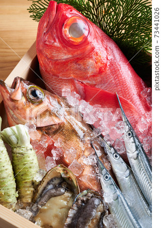 什錦鮮魚 什錦鮮魚 73441026